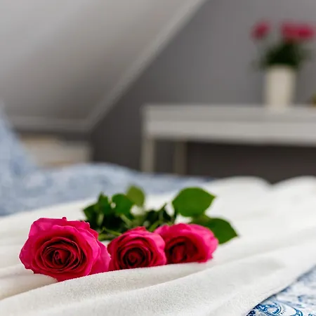 Villa Warmia Prestige Woryty